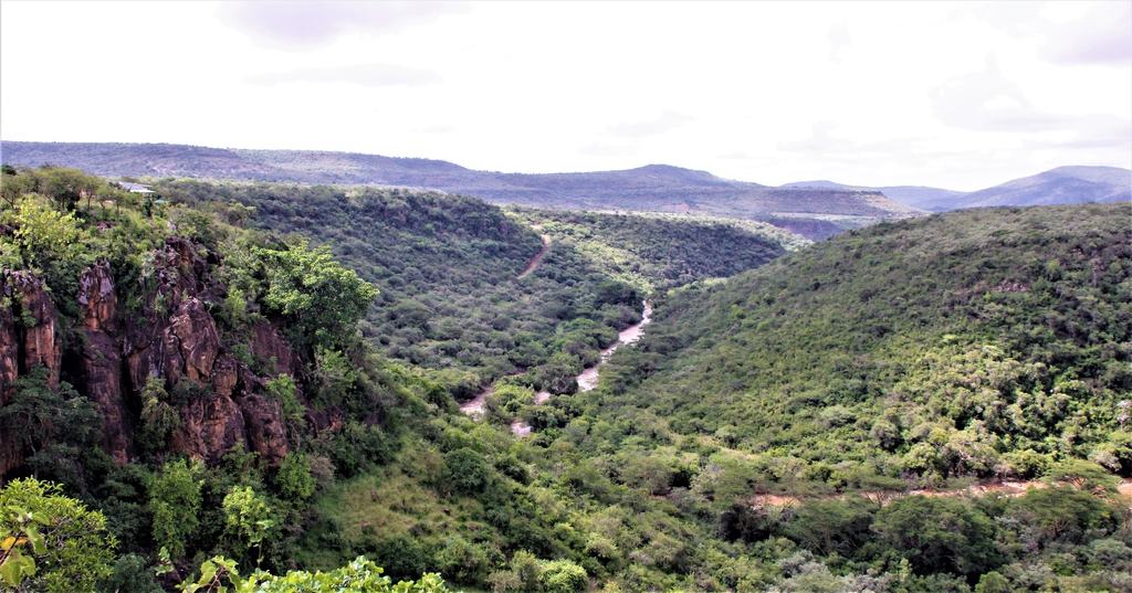 A wide view of the canyon and river valley, with red rock on the left