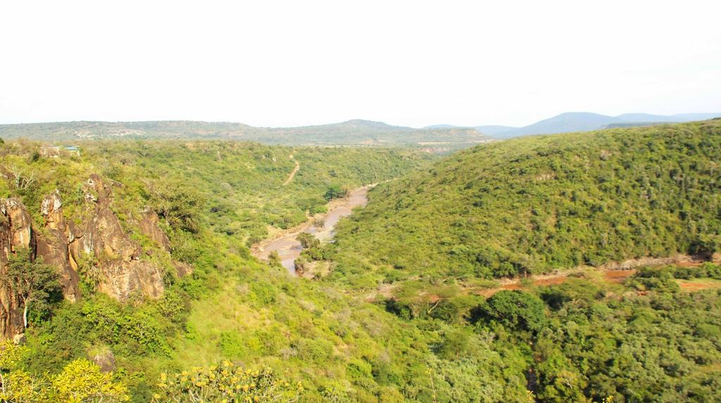 The canyon and river seen from above, with green hills and red cliffs