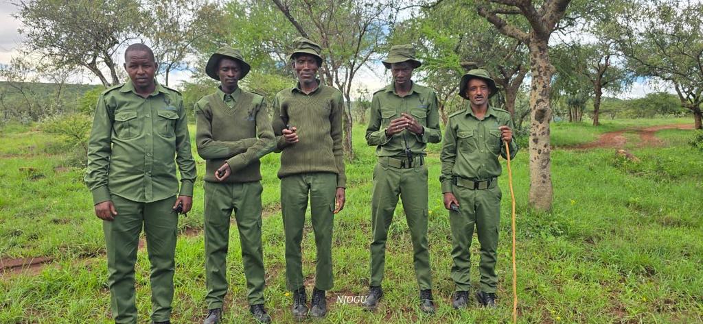 Five people in green uniforms standing together on grass among acacia trees