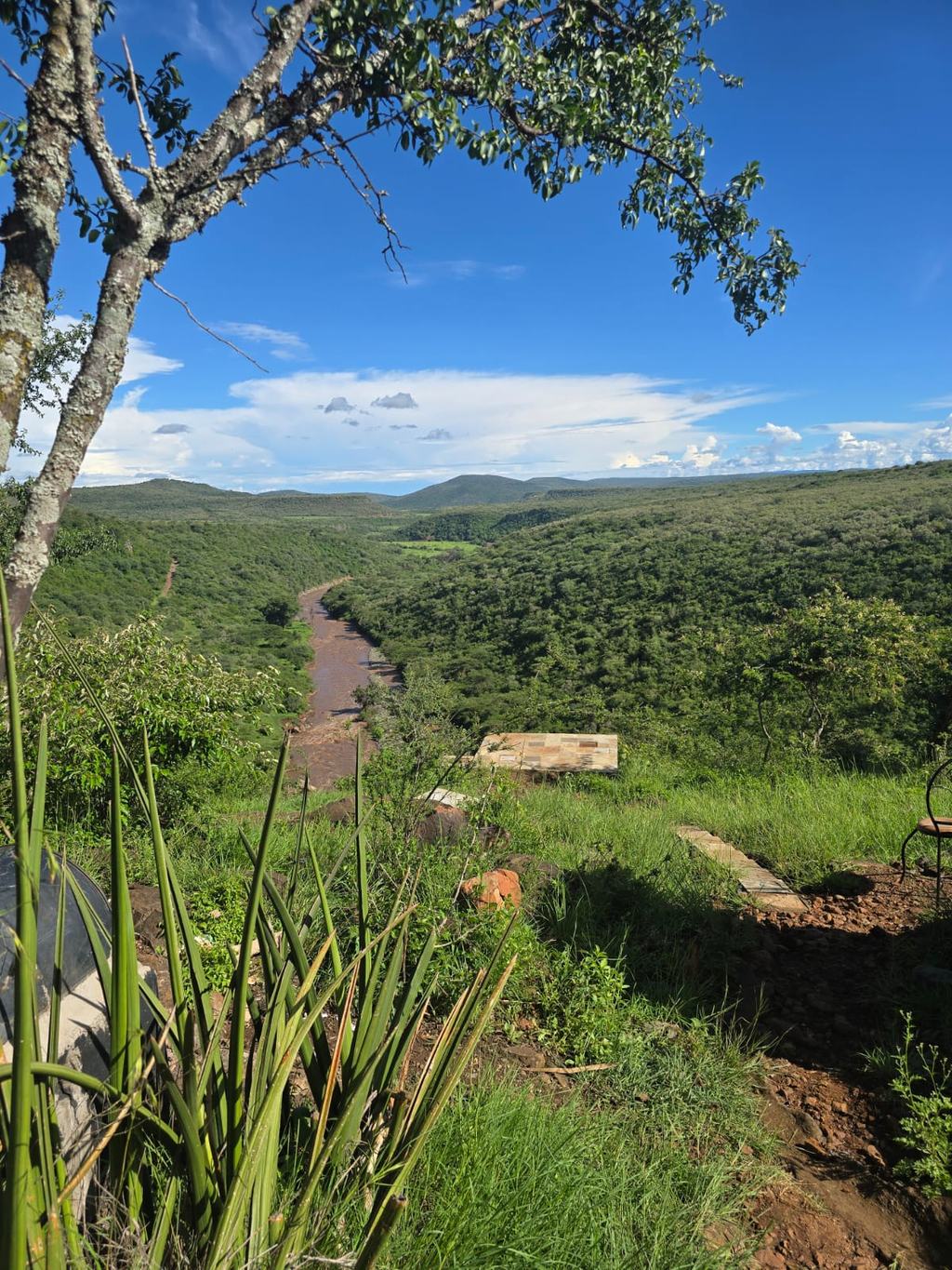 A view over the valley with aloe plants in the foreground